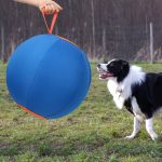 Pet Dog Toy Inflatable Big Ball, Full Set Of Dog Ball Golden Hair Bear Ball Anti-boredom Ball Dog Dog Corky Since Hi Pet Training Ball, Dog Ball, Dog Toys, Bulldog Polo, Australian Shepherd Polo