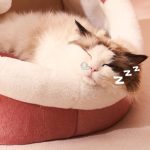 96a5884fb51545e7b08a74bcbb977bf0-goods